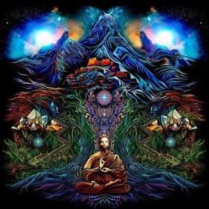 Meet your Posher, Phil